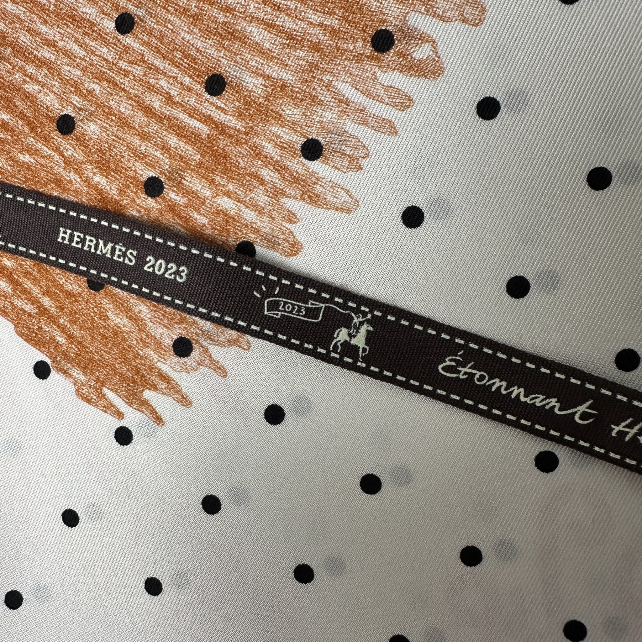 bolduc hermes 2023 du foulard Plumets et panaches