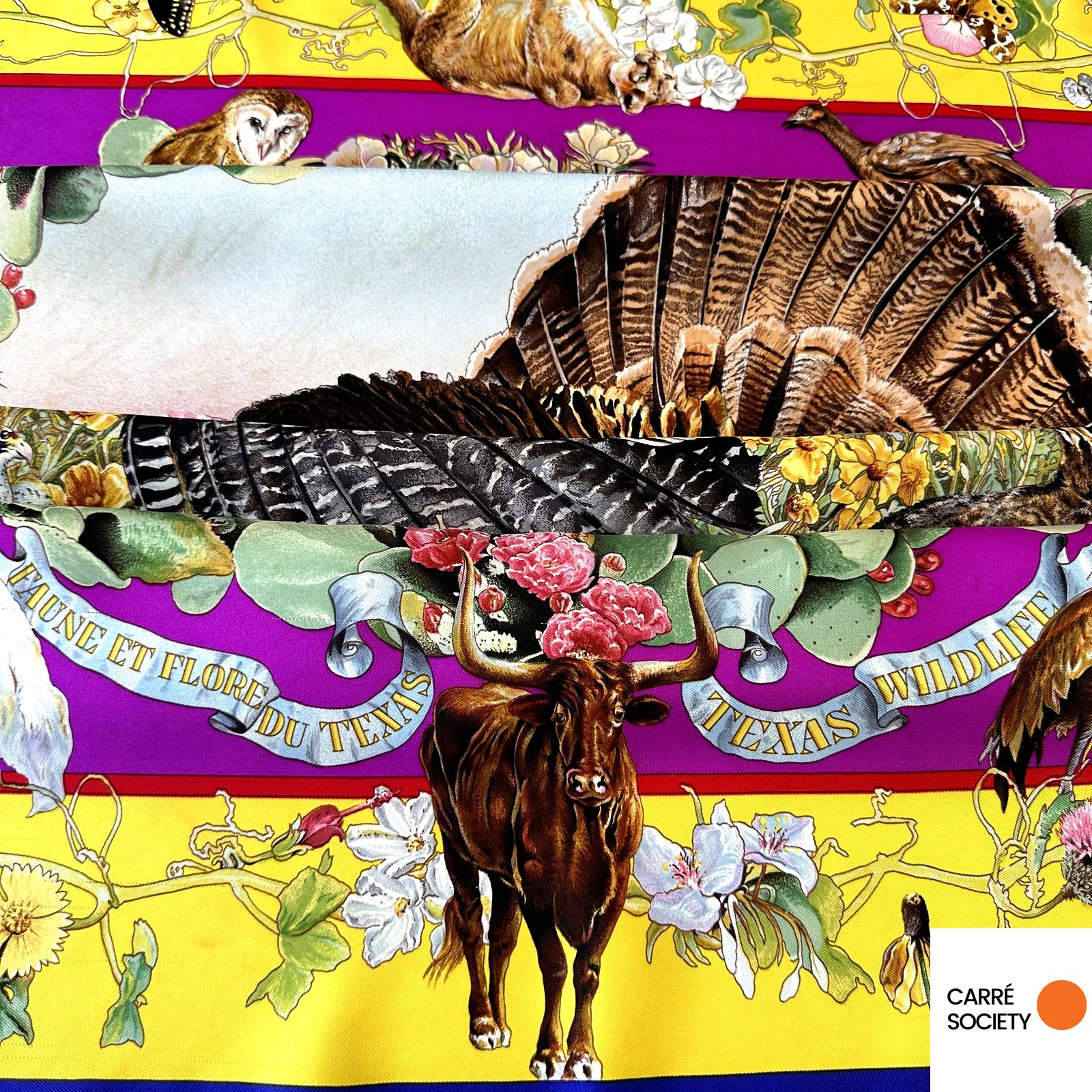 Hermes – Fauna and Flora of Texas – Kermit Oliver