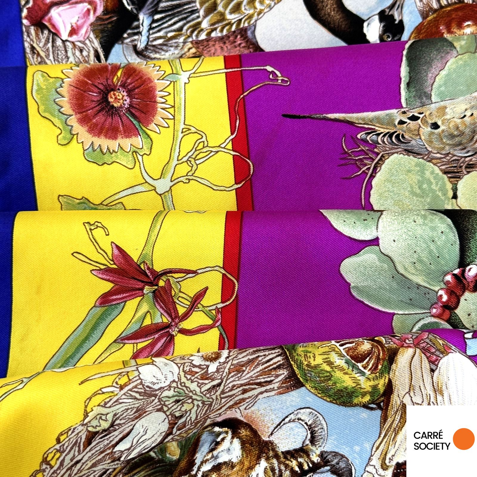 Hermes – Fauna and Flora of Texas – Kermit Oliver